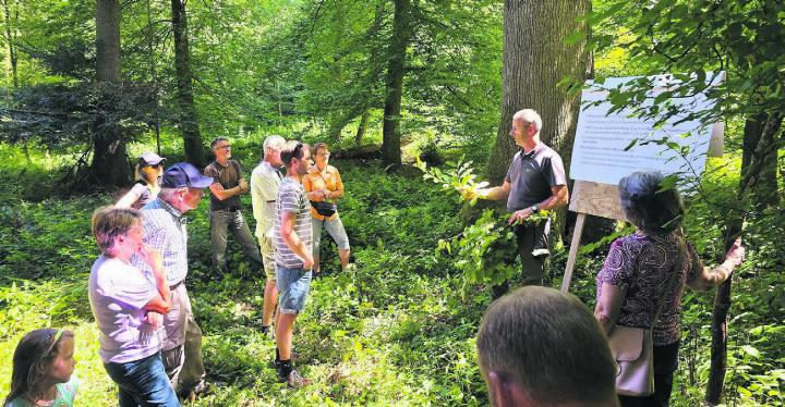 Revierförster Stefan Staubli zeigt der Bevölkerung die verschiedenen Funktionen des Waldes. Bild: gk Revierförster Stefan Staubli zeigt der Bevölkerung die verschiedenen Funktionen des Waldes. Bild: gk