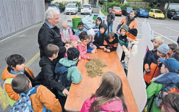 Landwirt Alois Horat zeigt den Schulkindern, was er alles im Gras findet, das er frisch geschnitten hat. Bilder: Chregi Hansen