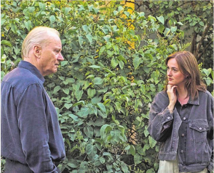 Im Kino Mansarde, Muri