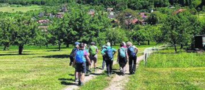 Die Gruppe genoss die Rundwanderung im Kanton Solothurn. Bild: zg