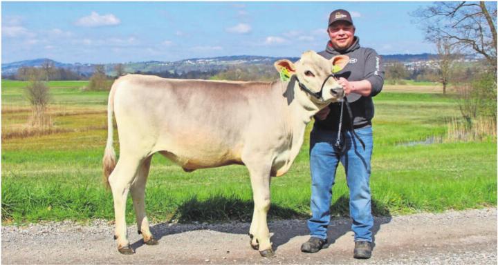 Siegerpreis Kalb «Sissi» mit Züchter Michael Lang aus Aristau. Bild: Adrian Stump