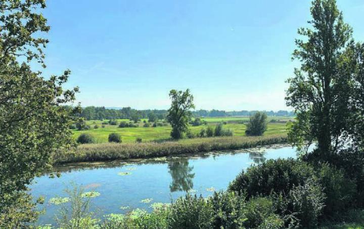 Die Altwasser-Landschaft der Stillen Reuss ist Teil des Natur- und Bild: zg