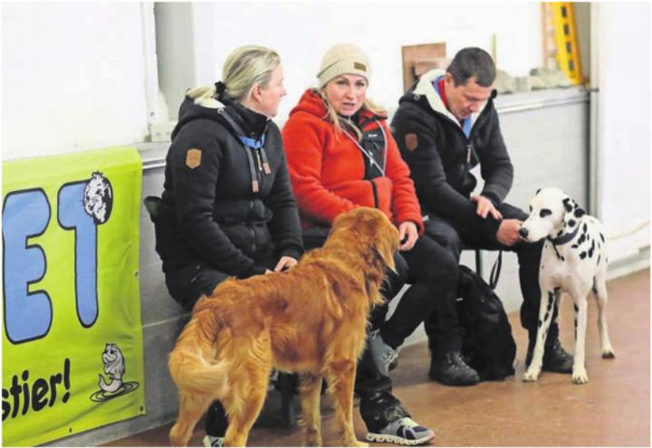 Es blieb am Turnier genügend Zeit, sich mit anderen Hundebesitzern auszutauschen. Es blieb am Turnier genügend Zeit, sich mit anderen Hundebesitzern auszutauschen.