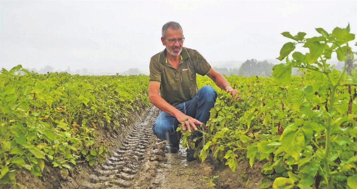 In den Fahrgassen steht seit Wochen immer wieder Wasser – ins Feld fahren muss Landwirt Franz Hagenbuch trotzdem, damit die Pflanzen nicht faulen. Bilder: Annemarie Keusch