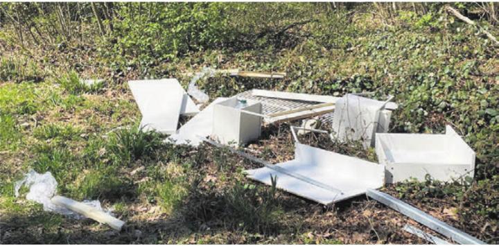 Das im Wald entsorgte Doppelbett. Bild: gk