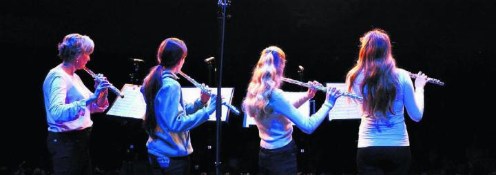 Die Regionale Musikschule Wohlen bietet von März bis Juni einige Highlights. Bild: zg