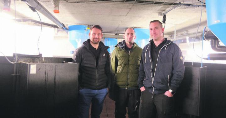 Das Team der Edelkrebs AG umgeben von Becken, in denen Schweizer Äsche und Masu-Lachs heranwachsen, von links: Florian Gemperle (Geschäftsführer), Philipp Flatau und Christian Rüttimann (beides Mitarbeitende). Bild: Annemarie Keusch