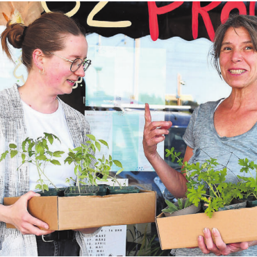 Überzählige Setzlinge tauschen - Lea Küng (links) und Rita Müller organisieren den Setzlingstauschmarkt. Sie freuen sich, dass ihre Setzlinge so gut gediehen sind.    Bild: Verena Anna Wigger