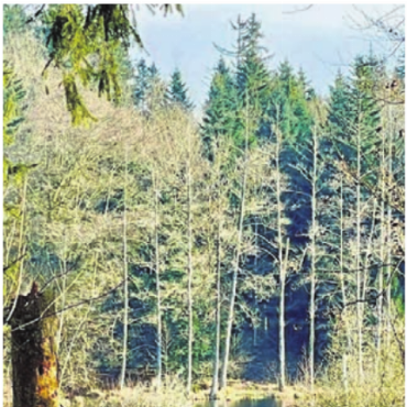 Moore und Moränen - Wertvolle Naturlandschaften.