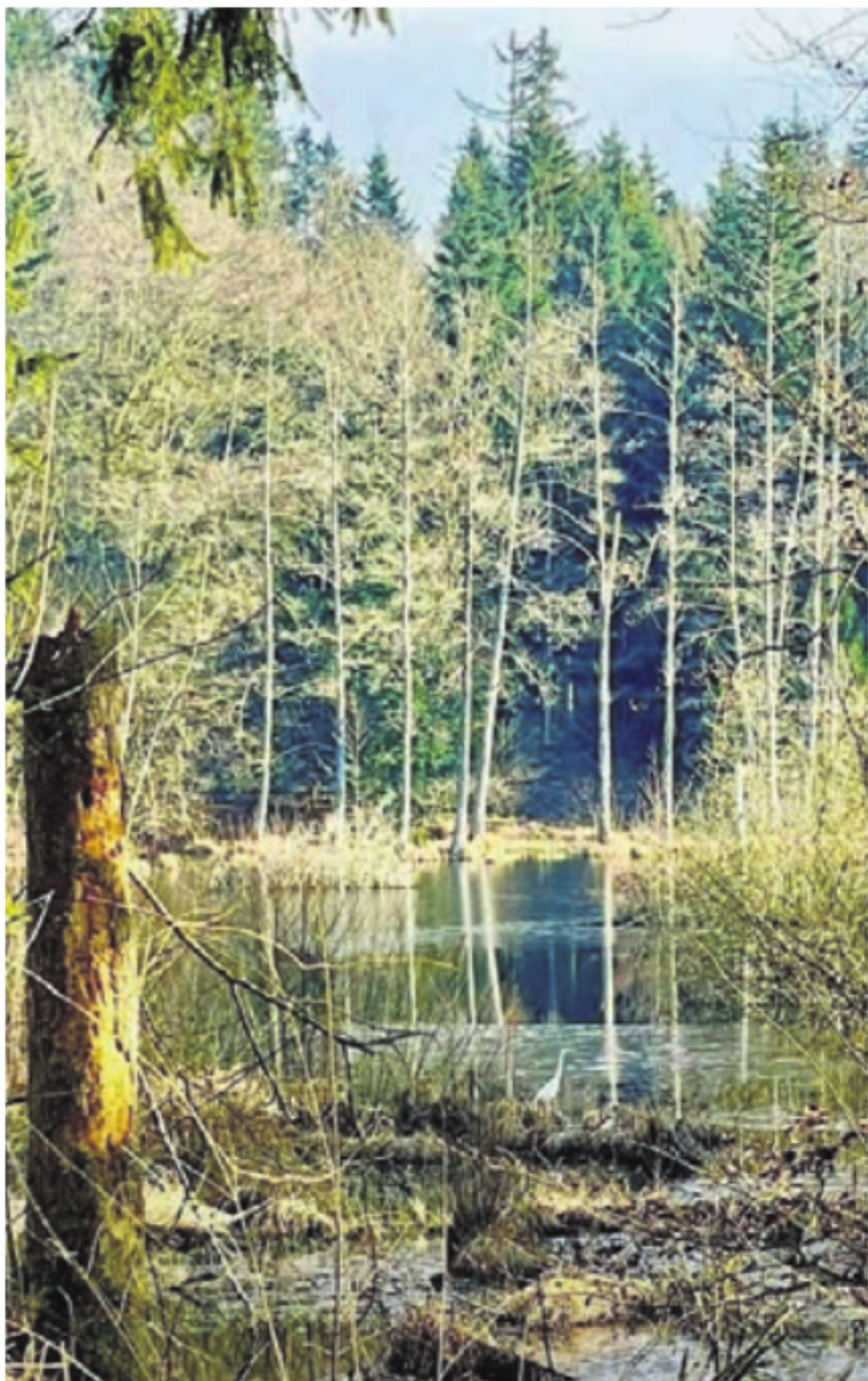 Wertvolle Naturlandschaften. - Das Bild wird blockiert. – Möglicherweise durch einen aktiven Adblocker.