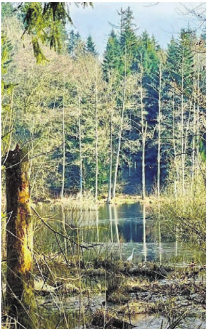 Wertvolle Naturlandschaften.