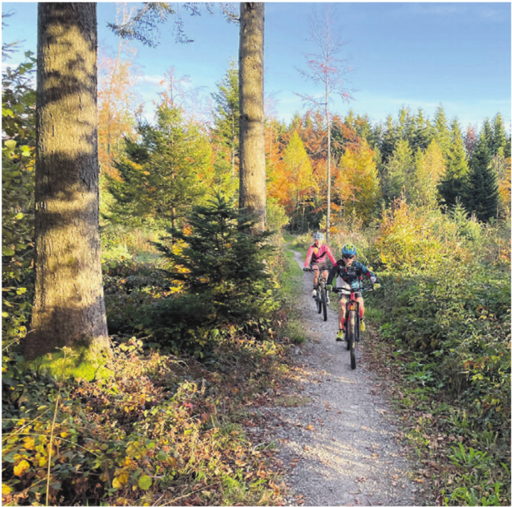 Trails wie dieser am Lindenberg sind den Mountainbikern ein Anliegen. Bilder: zg