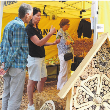 Drei Tage voller Aha-Momente - Die Wildbienen-Häuser gehen auch als Kunstwerke durch.