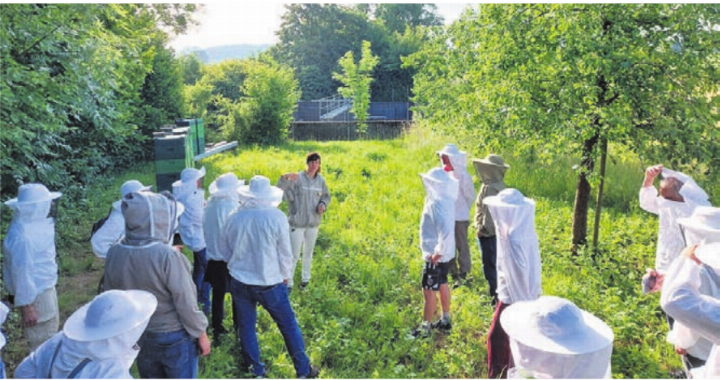 Die Mitglieder des Natur- und Vogelschutzvereins Dottikon betrachten gut geschützt Bienenstöcke aus der Nähe mit Mirjam Lendenmann von «bee happy».    Bild: zg