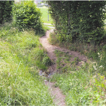 Nun doch keine Brücke - Ein offizieller Weg ist es nicht, begangen wird die Abkürzung über die Bünz dennoch nicht selten. In diesem Bereich hätte eine Brücke gebaut werden sollen. Davon sieht der Gemeinderat nun ab. Bild: Annemarie Keusch