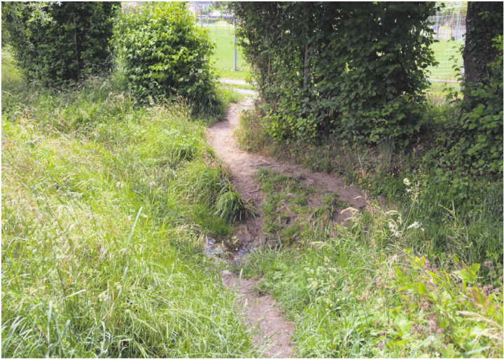 Ein offizieller Weg ist es nicht, begangen wird die Abkürzung über die Bünz dennoch nicht selten. In diesem Bereich hätte eine Brücke gebaut werden sollen. Davon sieht der Gemeinderat nun ab. Bild: Annemarie Keusch