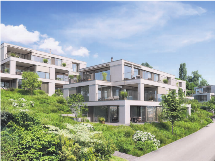 Moderne Architektur von Moser Architekt AG. Bilder: Swiss Interactive AG