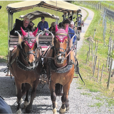 Auf zwei Weingütern - Kutschenfahrt durch die Weinberge – das erlebten die Bettwiler Senioren. Bild: zg