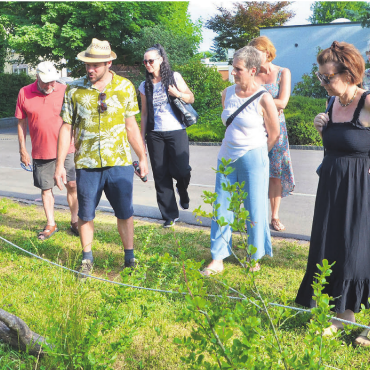 Heimische Hecke und Magerwiese - Die neu gepflanzte Hecke beim Kindergarten Wey zeigt, wie sich mit überschaubarem Aufwand viel für die Natur erreichen lässt.    Bild: Thomas Stöckli