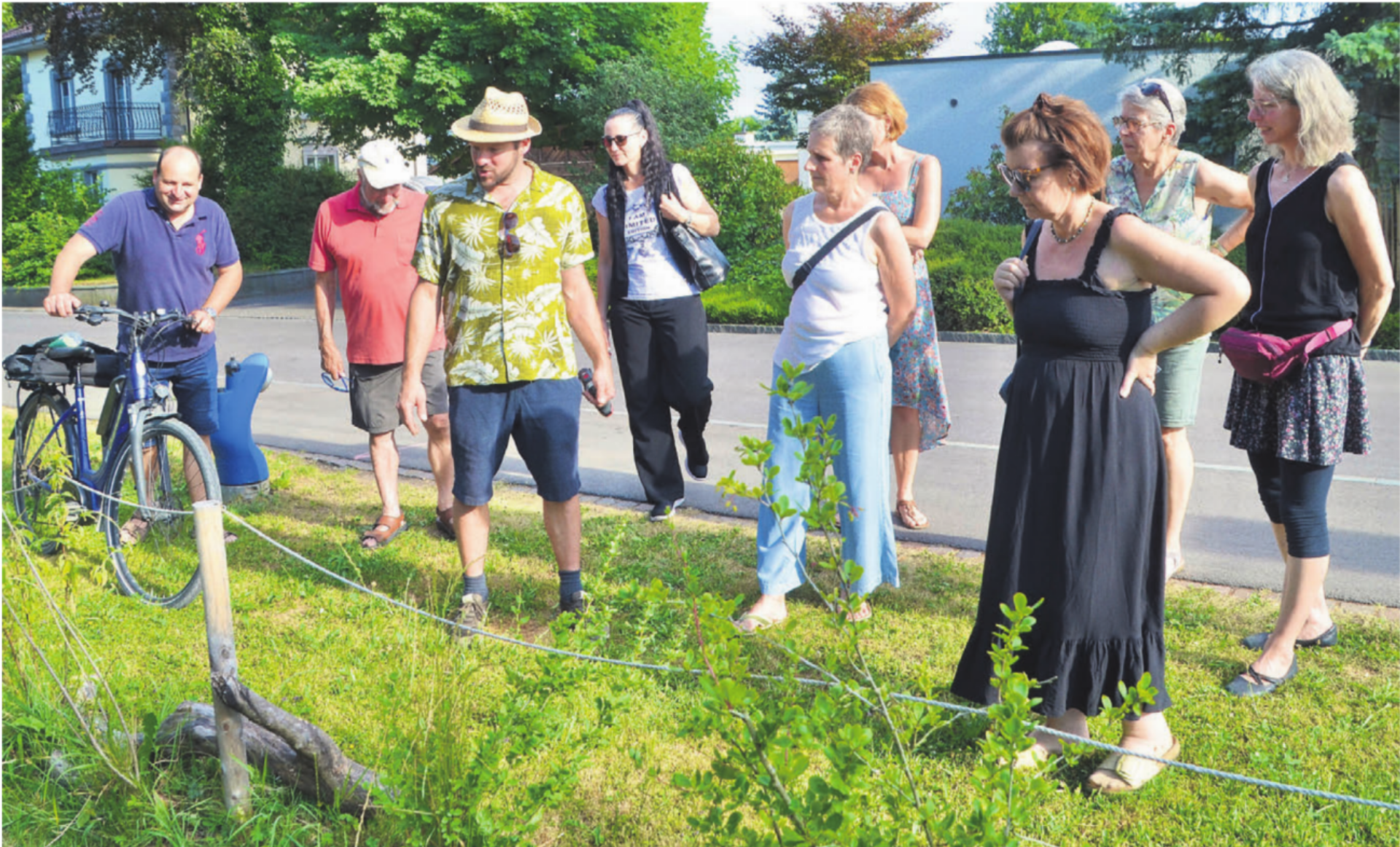 Die neu gepflanzte Hecke beim Kindergarten Wey zeigt, wie sich mit überschaubarem Aufwand viel für die Natur erreichen lässt.    Bild: Thomas Stöckli - Das Bild wird blockiert. – Möglicherweise durch einen aktiven Adblocker.