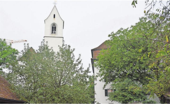 Das Künstlerhaus Boswil gehört zu den Aargauer Kulturinstitutionen, die eine Kürzung der Gelder verhindern möchten. Bild: Archiv