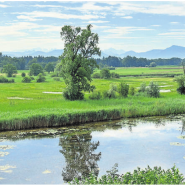 Ausstellung geöffnet - Altwasser-Landschaft Stille Reuss bei Rottenschwil. Bild: zg