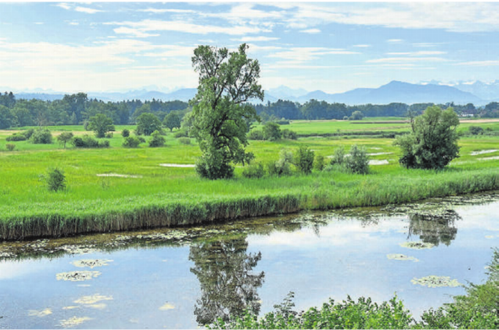 Altwasser-Landschaft Stille Reuss bei Rottenschwil. Bild: zg
