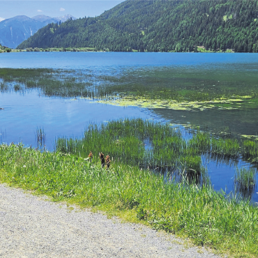 So lässt es sich aushalten - Im Vinschgau im Südtirol genoss Claudia Nietlispach aus Wohlen die Zeit – mit Blick von St. Valentin auf den Haidersee.
Bilder: zg