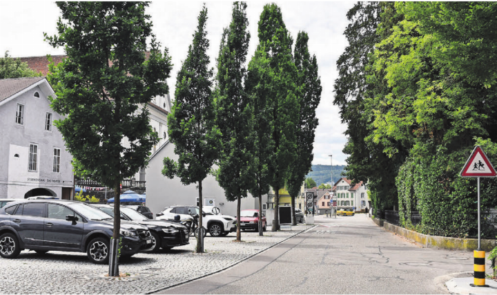 Bäume, Grünflächen, begrünte Dächer und entsiegelte Flächen tragen zur Kühlung des Siedlungsraums und zur Verbesserung der Aufenthaltsqualität bei. Im Bild die Bäume entlang der Steingasse. Bild: mo Bäume, Grünflächen, begrünte Dächer und entsiegelte Flächen tragen zur Kühlung des Siedlungsraums und zur Verbesserung der Aufenthaltsqualität bei. Im Bild die Bäume entlang der Steingasse. Bild: mo