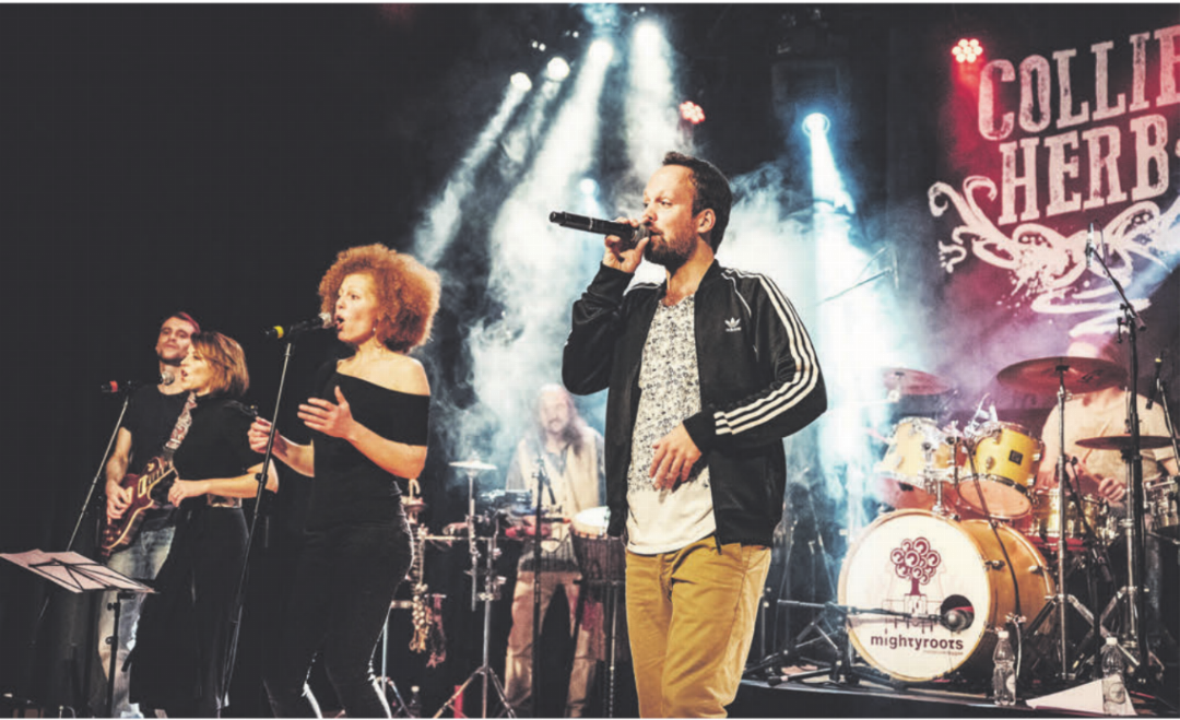 Collie Herb aus Olten gehört seit 20 Jahren zu den Aushängeschildern der Schweizer Reggae-Szene. In Wohlen ist er mit seiner Begleitband Mighty Roots zu erleben. Bilder: zg / Talal Doukmak Collie Herb aus Olten gehört seit 20 Jahren zu den Aushängeschildern der Schweizer Reggae-Szene. In Wohlen ist er mit seiner Begleitband Mighty Roots zu erleben. Bilder: zg / Talal Doukmak