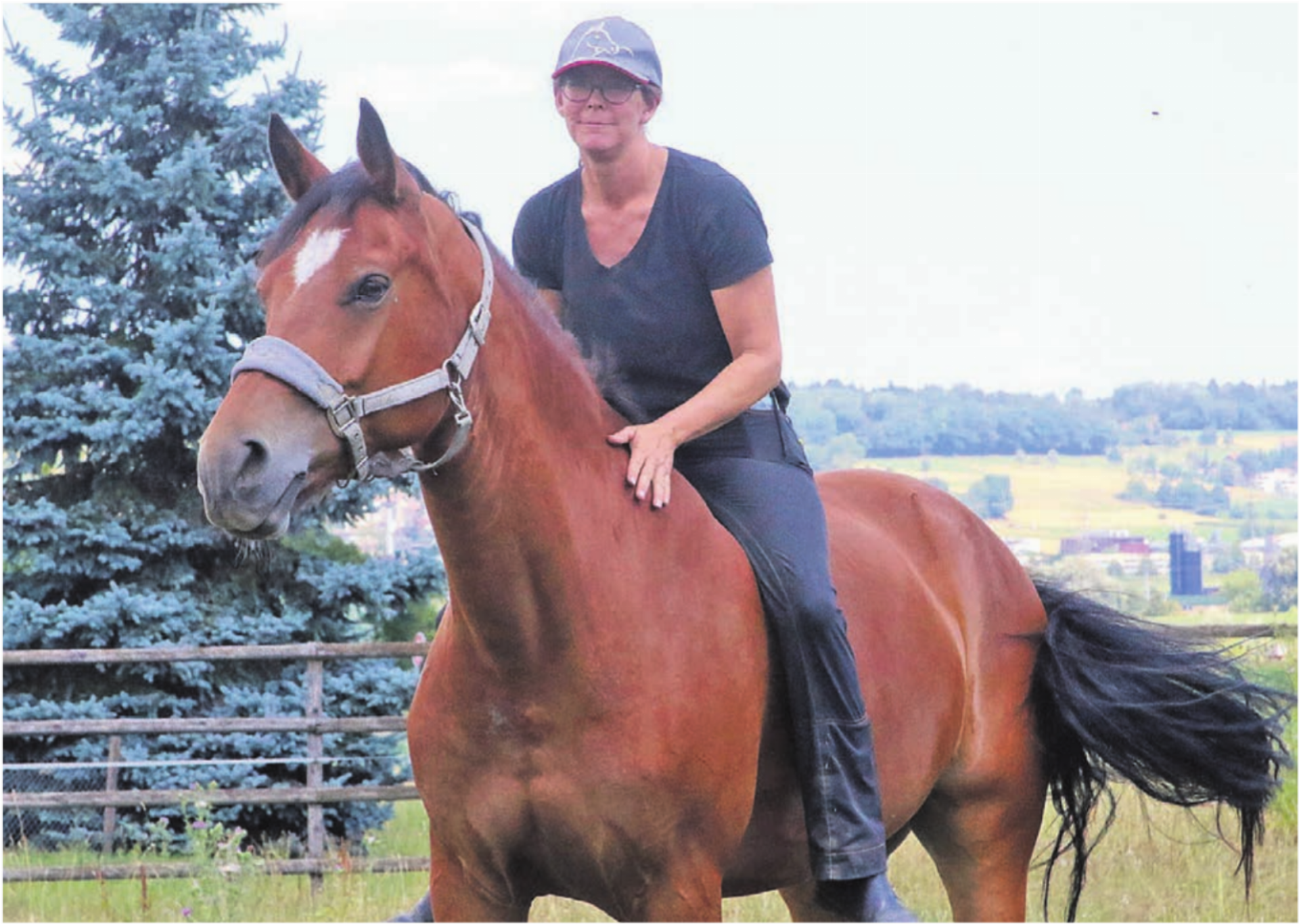 Cornelia Wanderon auf Leroy. «An der Springkonkurrenz in Wohlen werde ich aber voraussichtlich unsere Stute Valentina reiten und mein Partner ihn», sagt sie.    Bilder: Josip Lasic/zg - Das Bild wird blockiert. – Möglicherweise durch einen aktiven Adblocker.