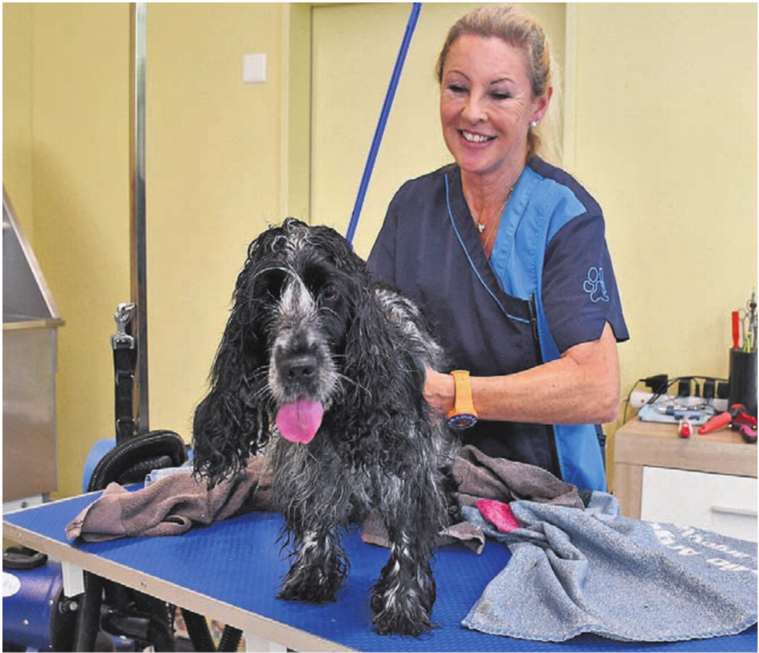 Brigitta Notbauer weiss, wie sie mit etwas zappeligen Hunden wie meiner Jara umgehen muss: mit Ruhe und Gelassenheit. Brigitta Notbauer weiss, wie sie mit etwas zappeligen Hunden wie meiner Jara umgehen muss: mit Ruhe und Gelassenheit.