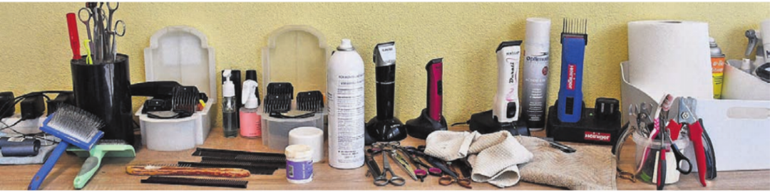 Bürsten, Kämme, Scheren, Zangen und Schermaschinen: Jedes Fell braucht das richtige Equipment für ein perfektes Ergebnis. Bürsten, Kämme, Scheren, Zangen und Schermaschinen: Jedes Fell braucht das richtige Equipment für ein perfektes Ergebnis.