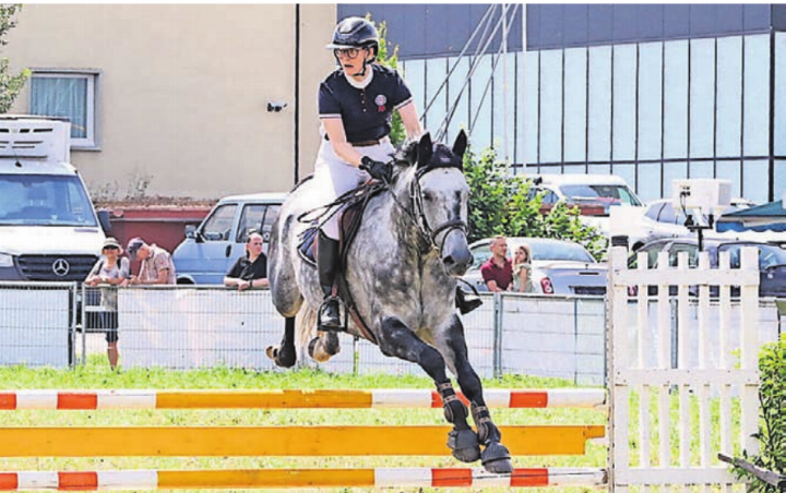 Pferdesportfreunde kommen in Wohlen erneut auf ihre Kosten. Bild: Archiv/jl