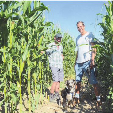 Sich verirren kann Spass machen - Sie freuen sich, dass es am Samstag endlich losgeht: Landwirt Reto Heiniger (links) und Journalist sowie Kinderbuchautor Stefan Sprenger haben die Idee eines Freiämter Maislabyrinths gemeinsam umgesetzt.