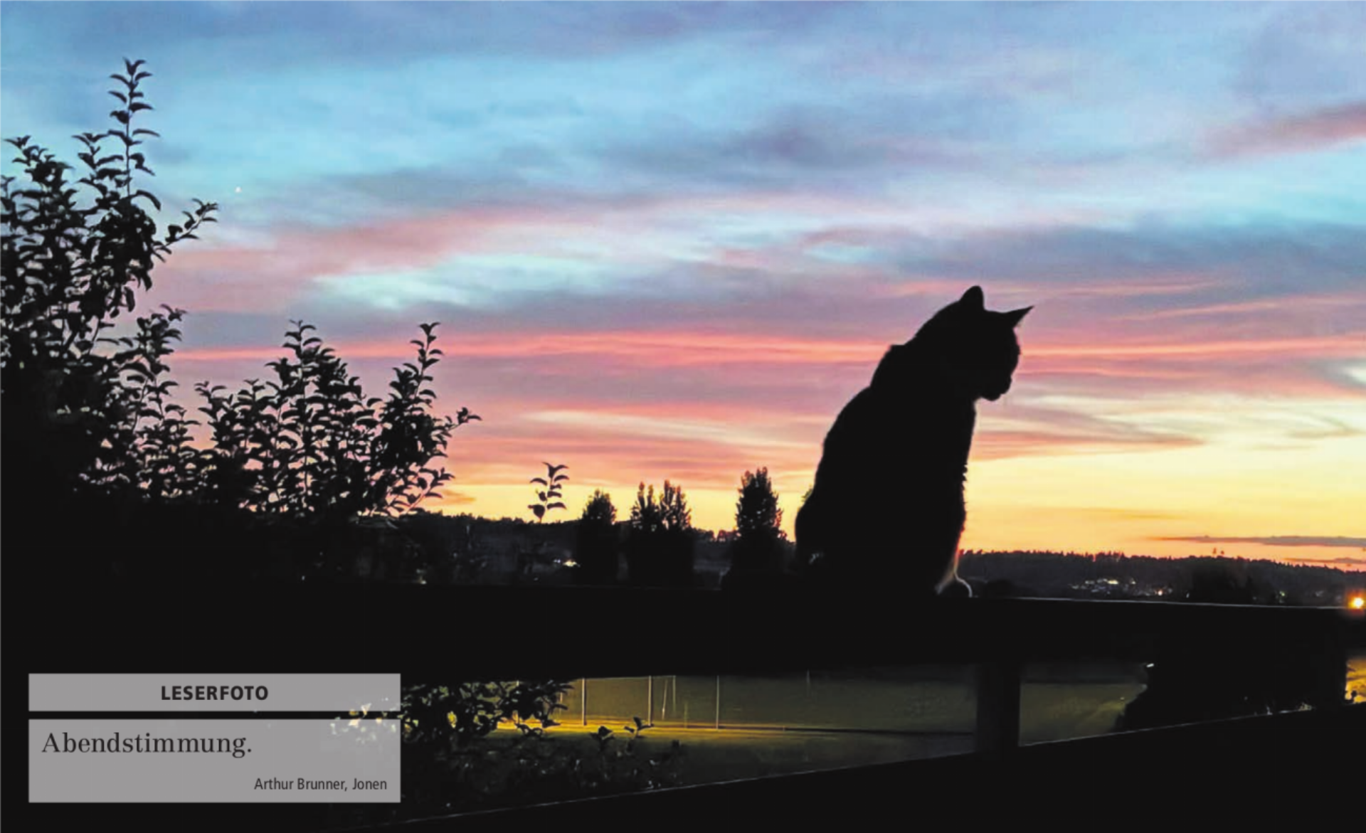  - Das Bild wird blockiert. – Möglicherweise durch einen aktiven Adblocker.