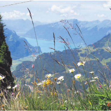 Der Blick in die Weite - Beim Aufstieg zum Gibel auf 2036 Metern über Meer – mit dem Brienzersee im Hintergrund. Dieses Foto schoss Rosmarie Ruckstuhl aus Wohlen.