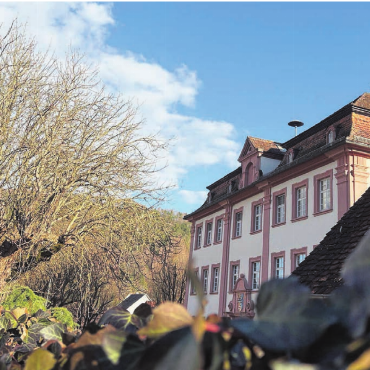 Einstiger Kloster-Amtssitz - Das Schloss Dettingen bei Horb ist eine Oase – zum Verkauf steht das zweite Obergeschoss. Bilder: zg