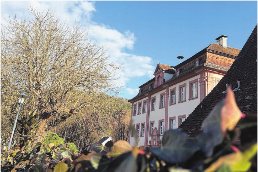 Das Schloss Dettingen bei Horb ist eine Oase – zum Verkauf steht das zweite Obergeschoss. Bilder: zg Das Schloss Dettingen bei Horb ist eine Oase – zum Verkauf steht das zweite Obergeschoss. Bilder: zg