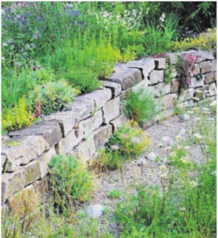 Einblick in einen speziellen Garten.    Bild: zg